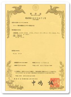 JAPAN PATENT